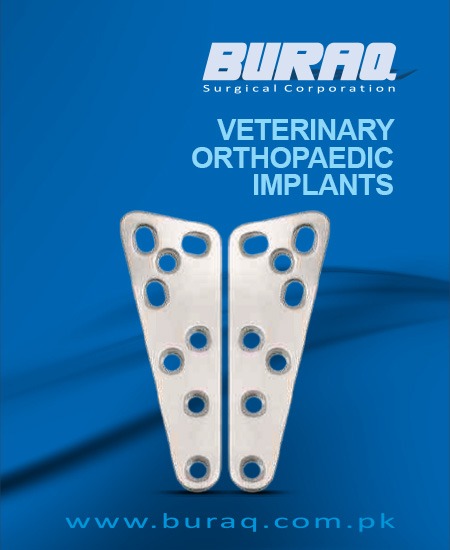 Veterinay Orthopedic Implant